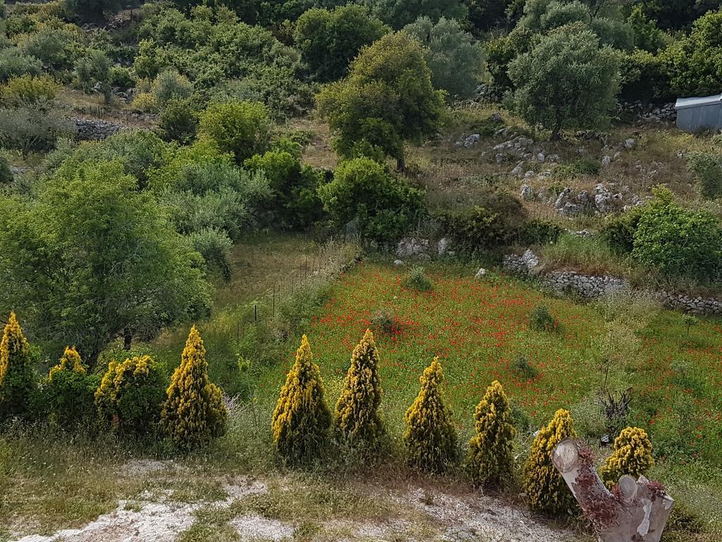 Apartmán Alexia Ferentinou Fiskardo Exteriér fotografie