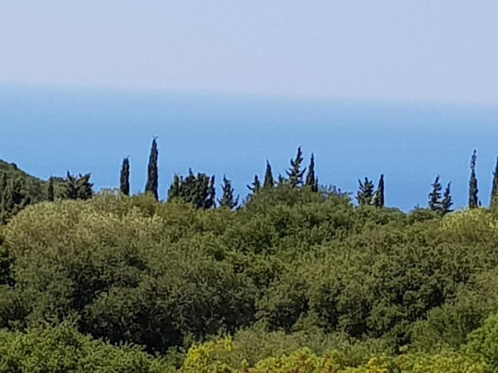 Apartmán Alexia Ferentinou Fiskardo Exteriér fotografie
